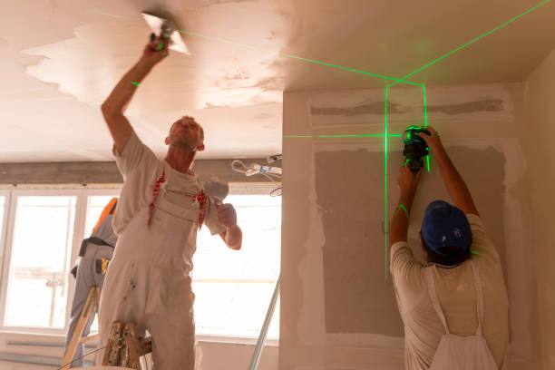 Best Ceiling Drywall Installation  in Dyer, TN